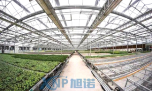 蔬菜温室大棚可以使用91视频美女午夜黄片免费视频做骨架吗？